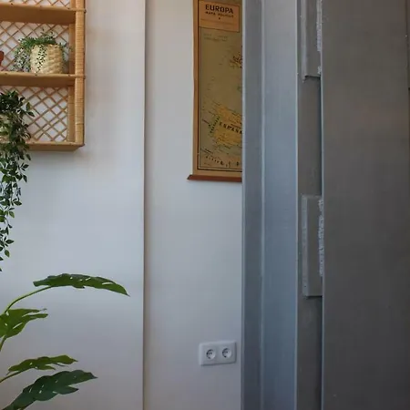 Apartment In Centre Alicante