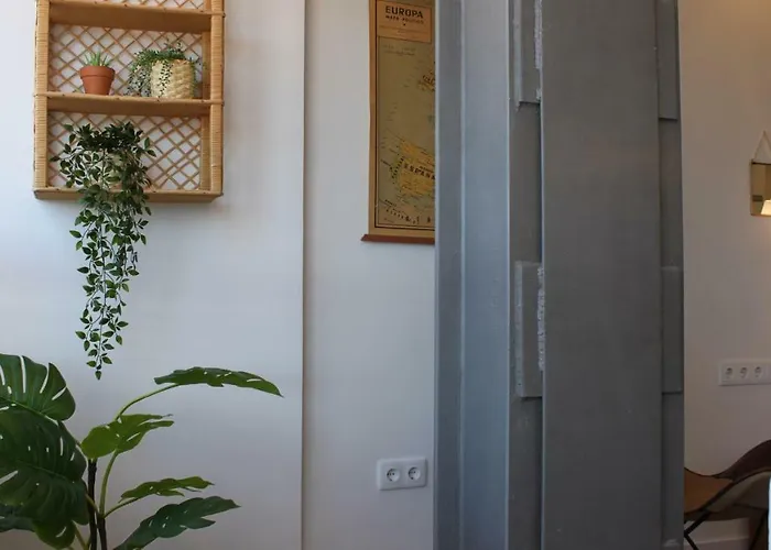 דירה In Centre אליקאנטה